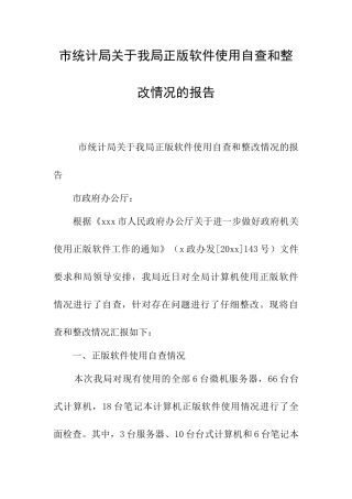市统计局关于我局正版软件使用自查和整改情况的报告