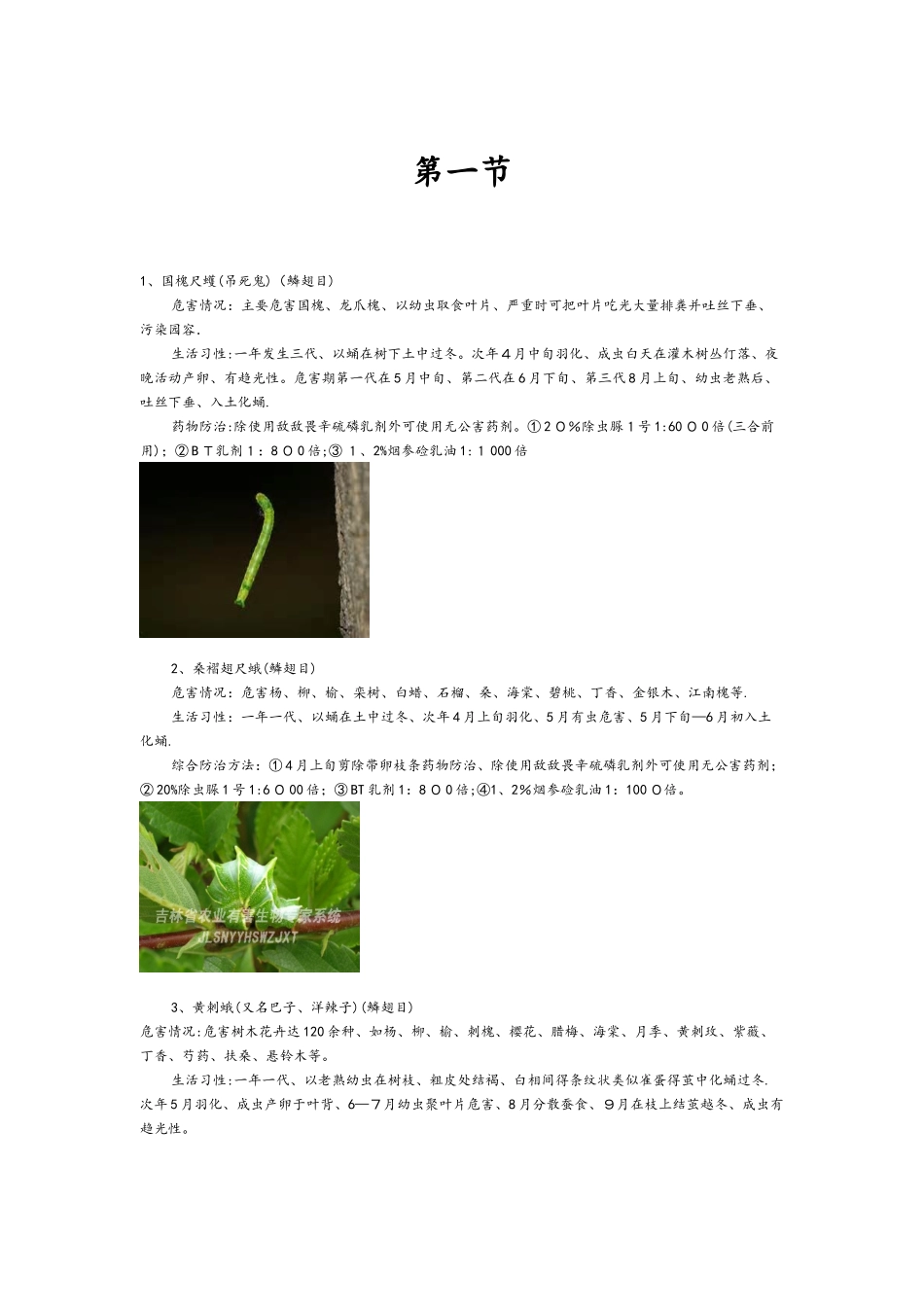 常见园林植物病虫害防治要点_第2页