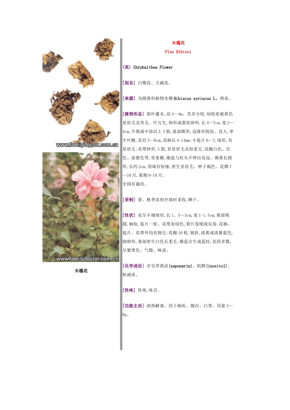 常见中草药—花类_第1页