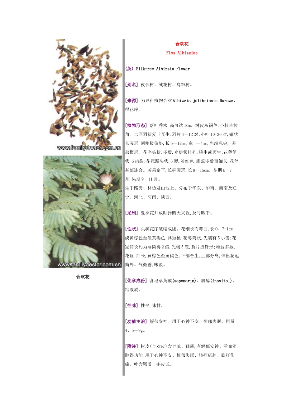 常见中草药—花类_第2页