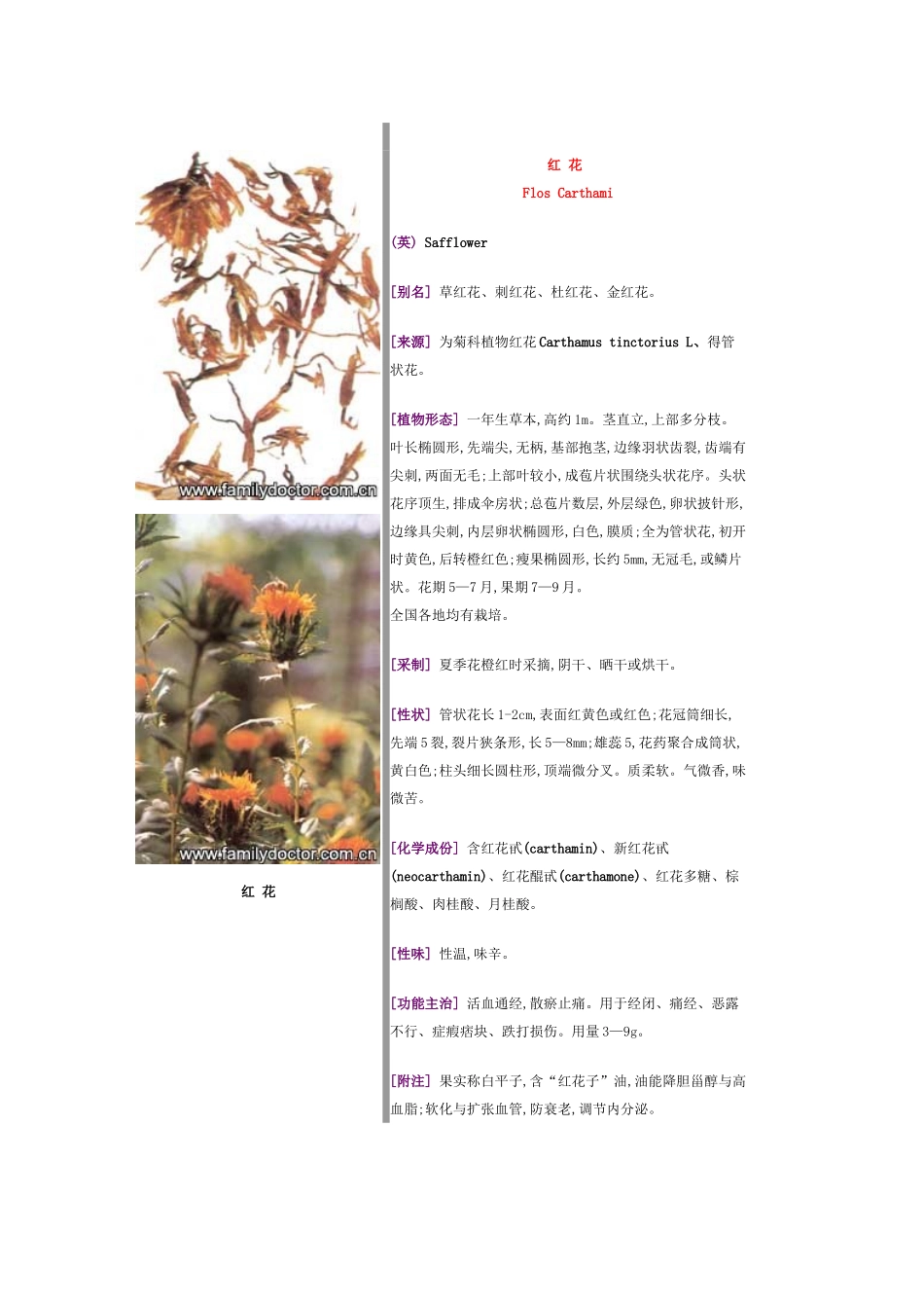 常见中草药—花类_第3页