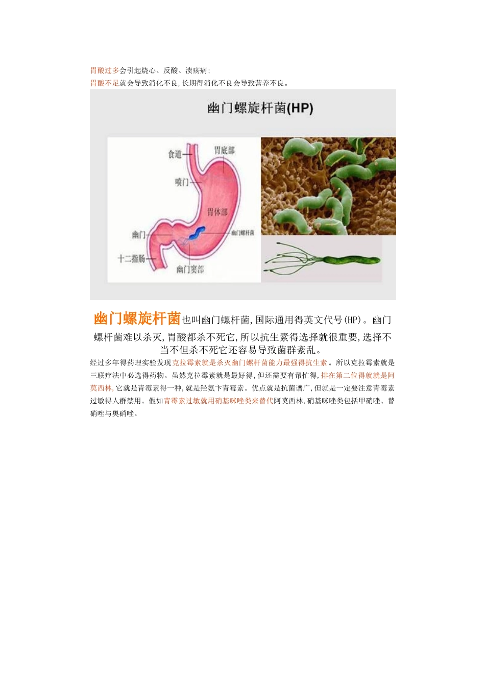 常见胃病的西医分类及联合用药_第2页