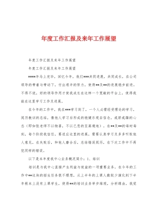 年度工作汇报及来年工作展望