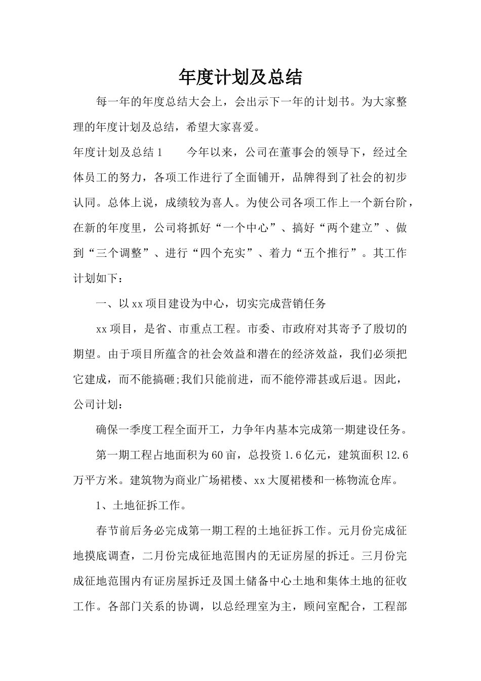 年度计划及总结（精编版）_第1页