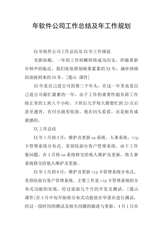 年软件公司工作总结及年工作规划