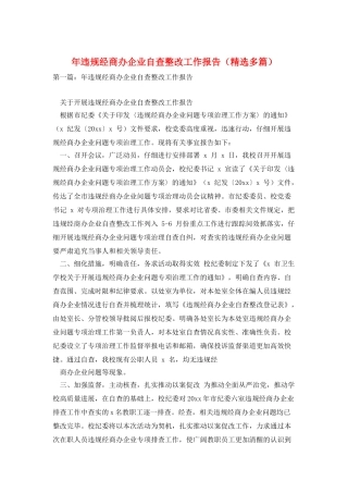 年违规经商办企业自查整改工作报告