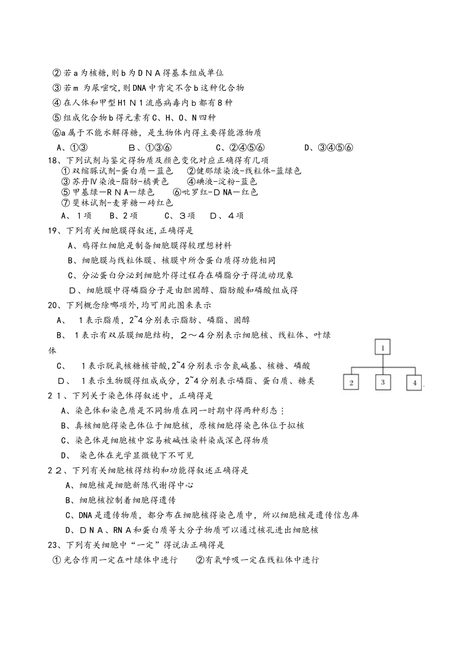 广东省汕头市金山中学高一生物上学期期中试题_第3页