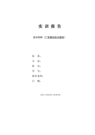 广告策划实训报告