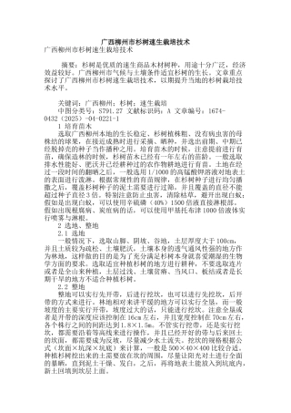 广西柳州市杉树速生栽培技术