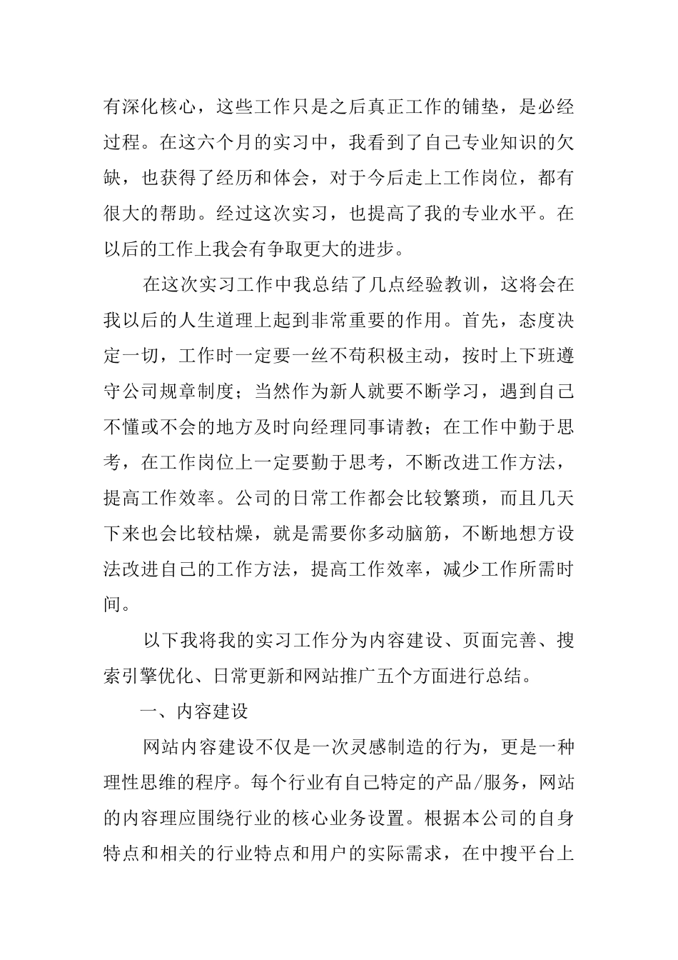 应届毕业生网站运营的实习报告_第3页