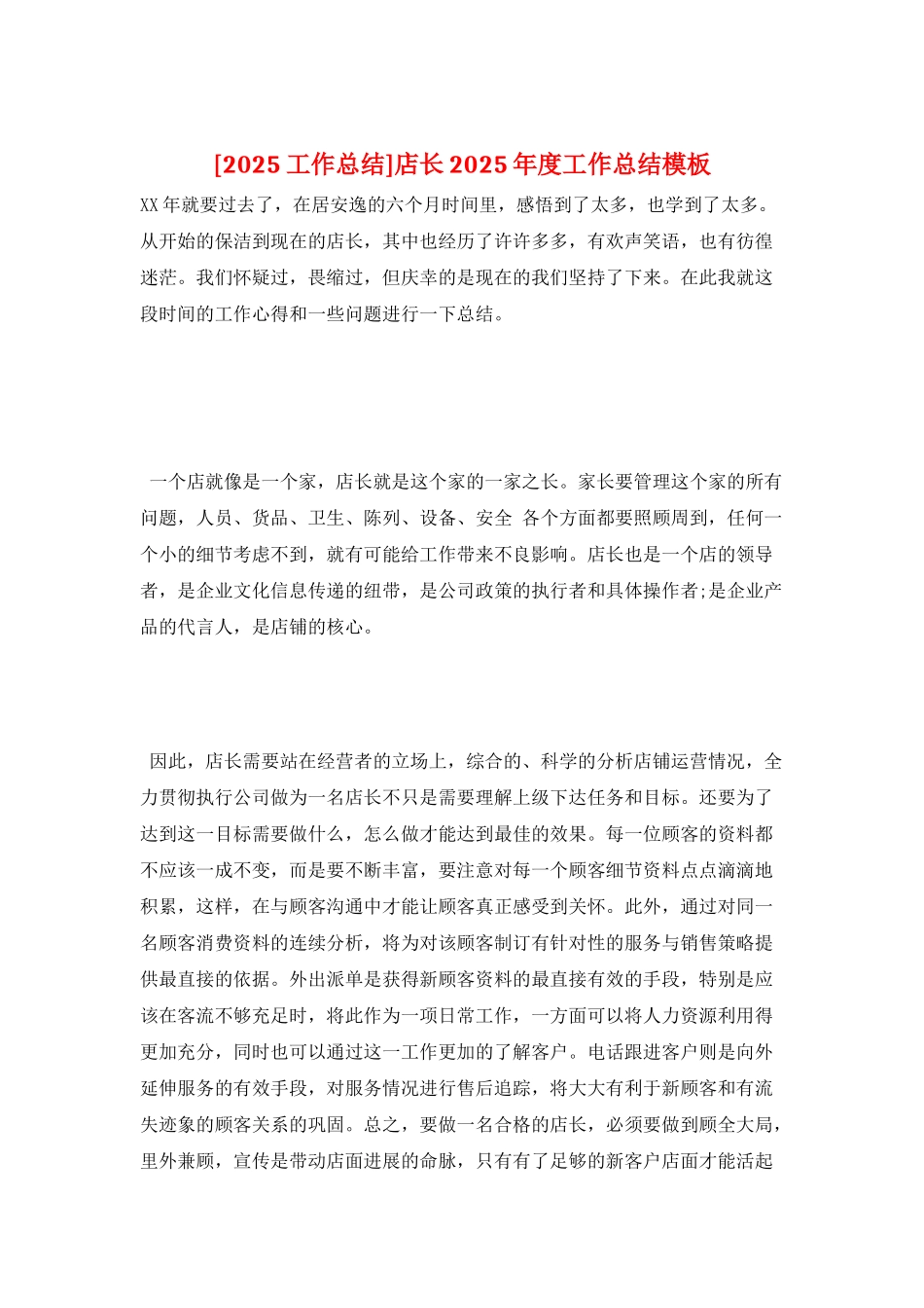 店长2025年度工作总结模板_第1页