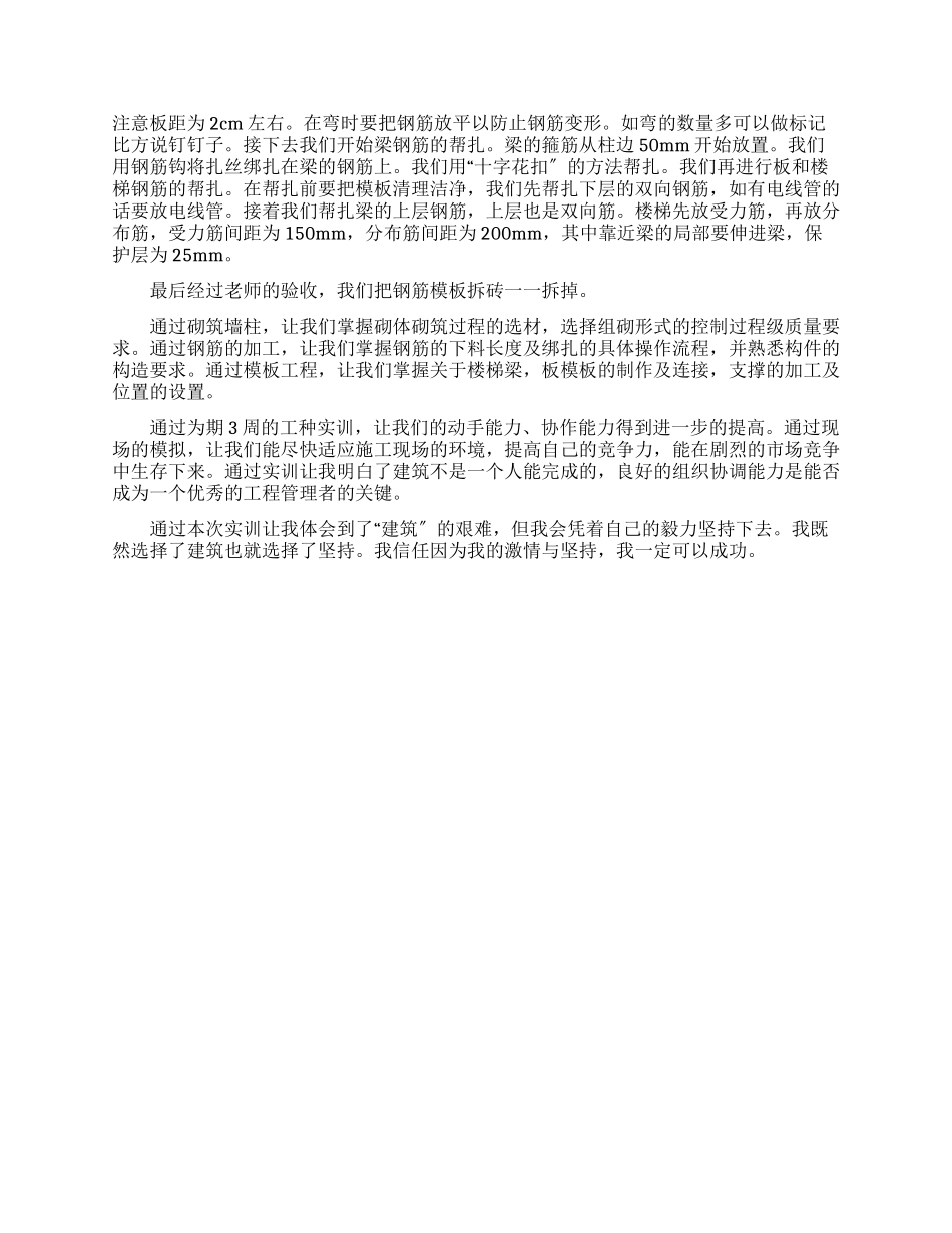 建筑施工工种实训报告_第2页