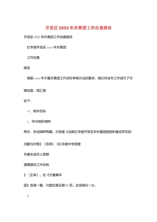 开发区2025年共青团工作自查报告