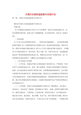 开展打击侵权盗版集中治理行动