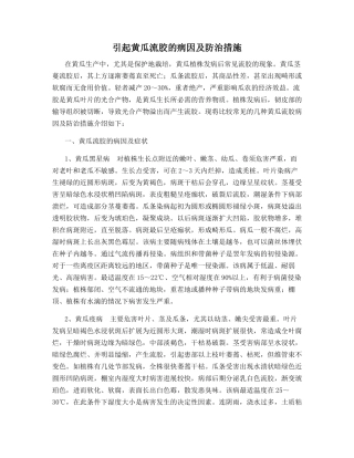 引起黄瓜流胶的病因及防治措施