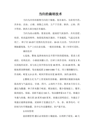 当归的栽培技术