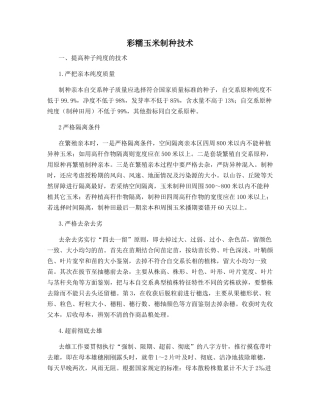 彩糯玉米制种技术