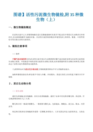 微生物镜检及运行判断
