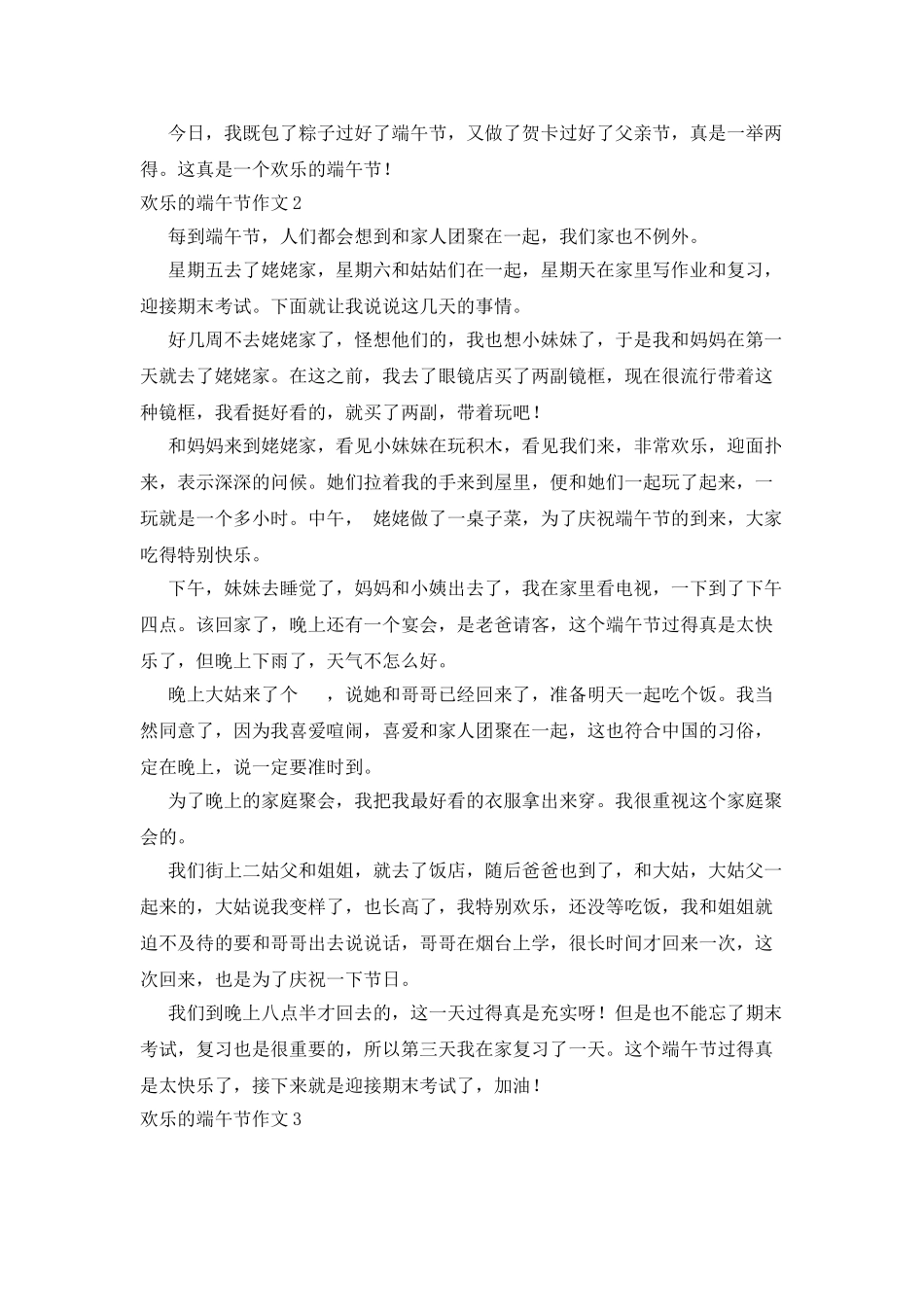 快乐的端午节作文_第2页