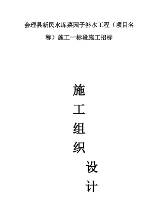 总体施工组织设计