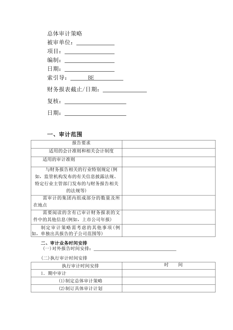 总体审计策略及具体审计计划实物模板_第1页