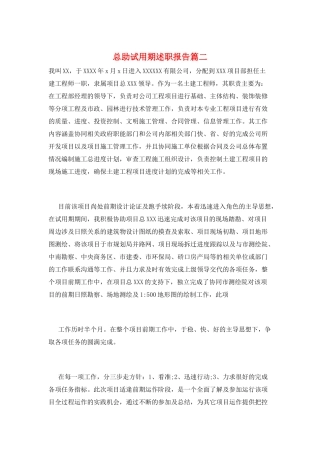 总助试用期述职报告篇二