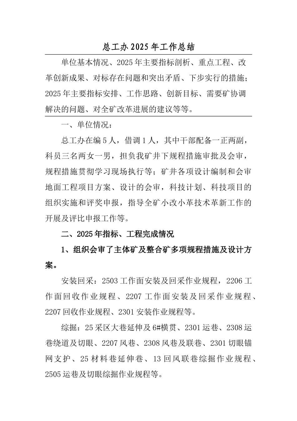 总工办2025年全年工作总结及2025年计划_第1页