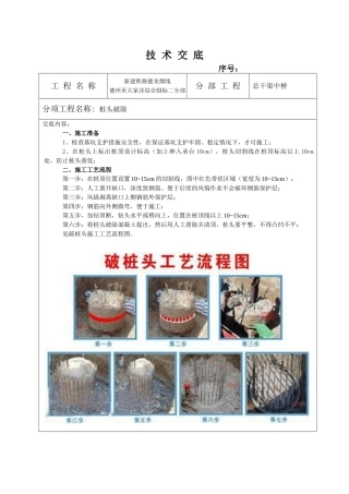 总干渠中桥桩头破除技术交底
