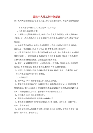 总监个人月工作计划新选