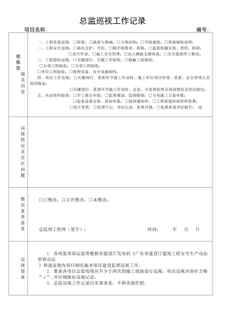 总监巡视工作记录