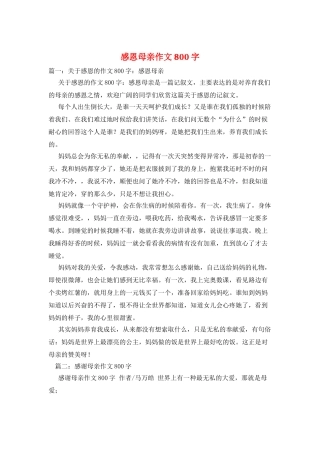 感恩母亲作文800字