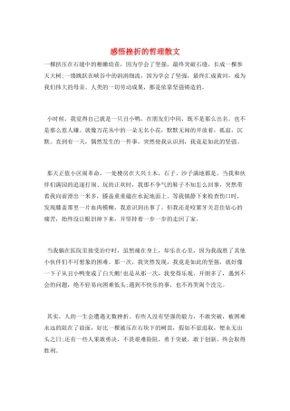 感悟挫折的哲理散文