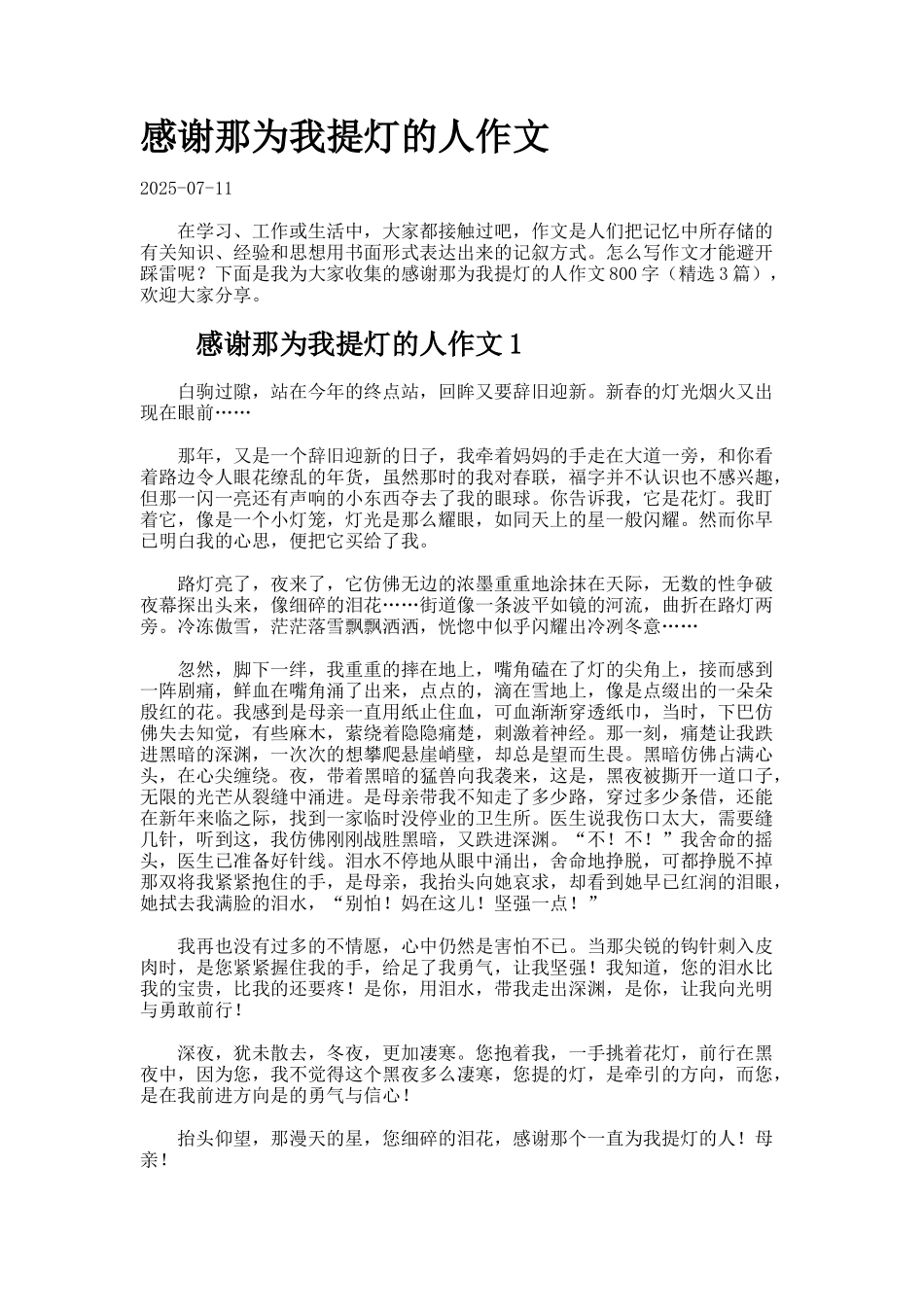 感谢那为我提灯的人作文_第1页