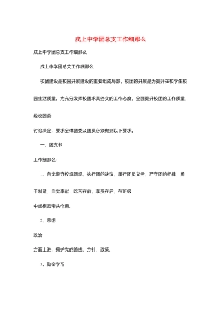 戍上中学团总支工作细则