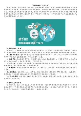 成都网络推广公司介绍