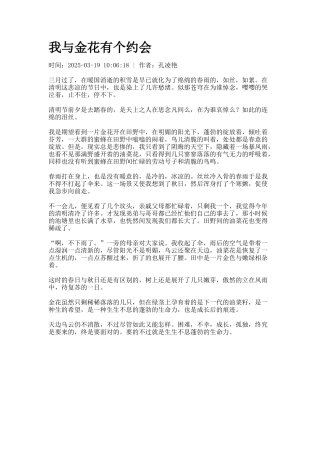 我与金花有个约会
