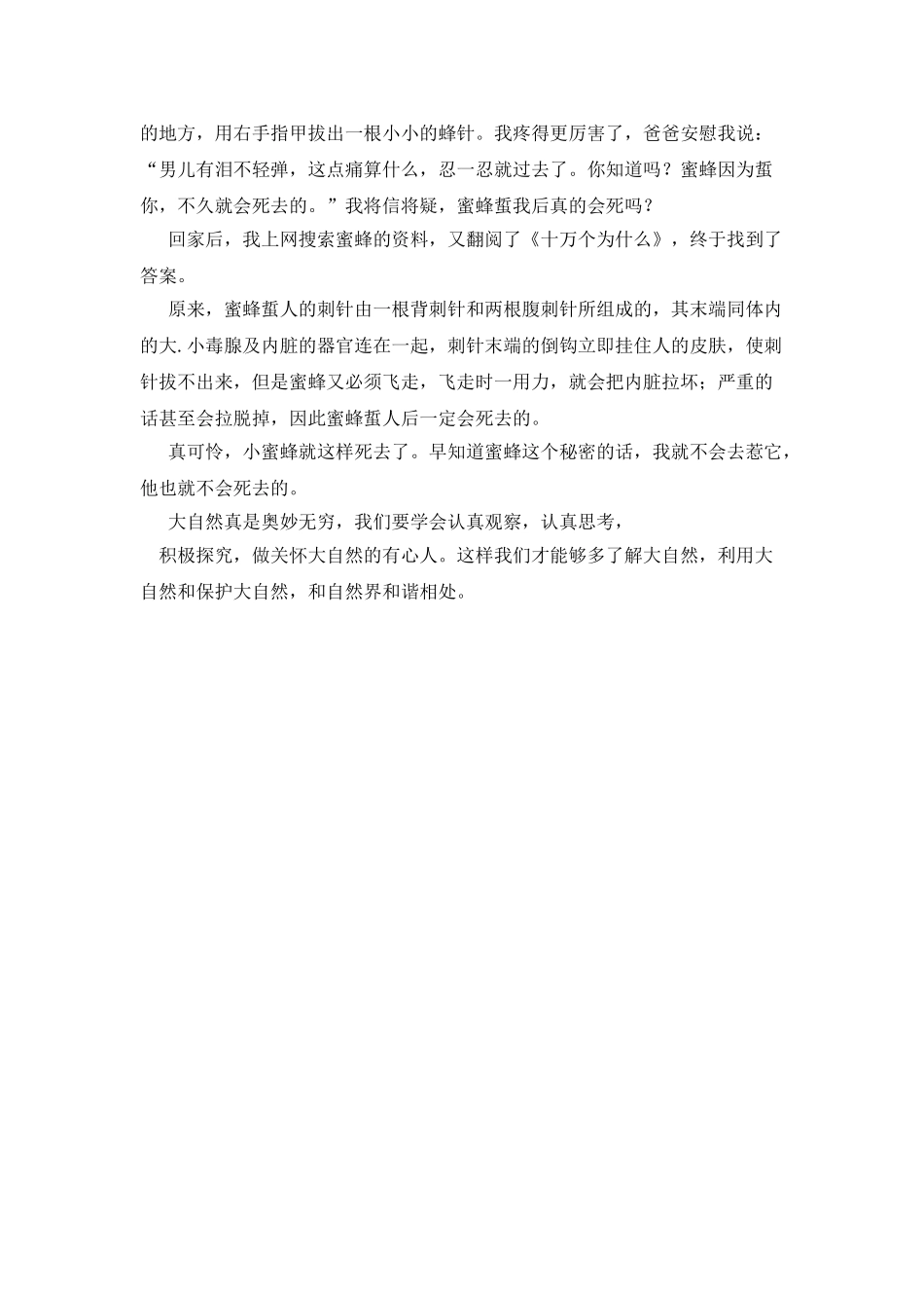 我发现了小蜜蜂的秘密作文500字_第3页