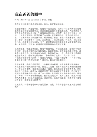我在爸爸的眼中