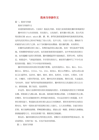 我来当导游作文