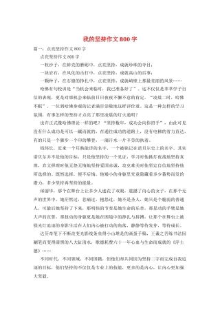 我的坚持作文800字