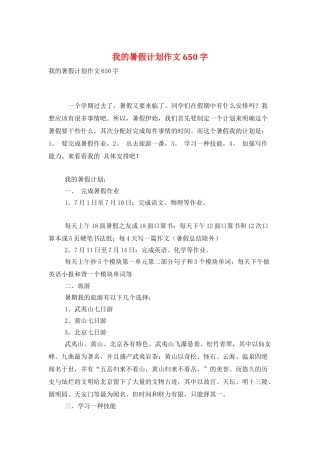 我的暑假计划作文650字