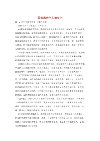 我的未来作文800字