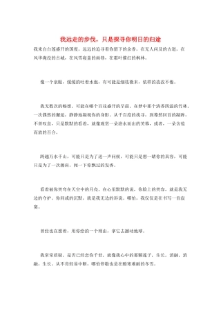 我远走的步伐-只是探寻你明日的归途