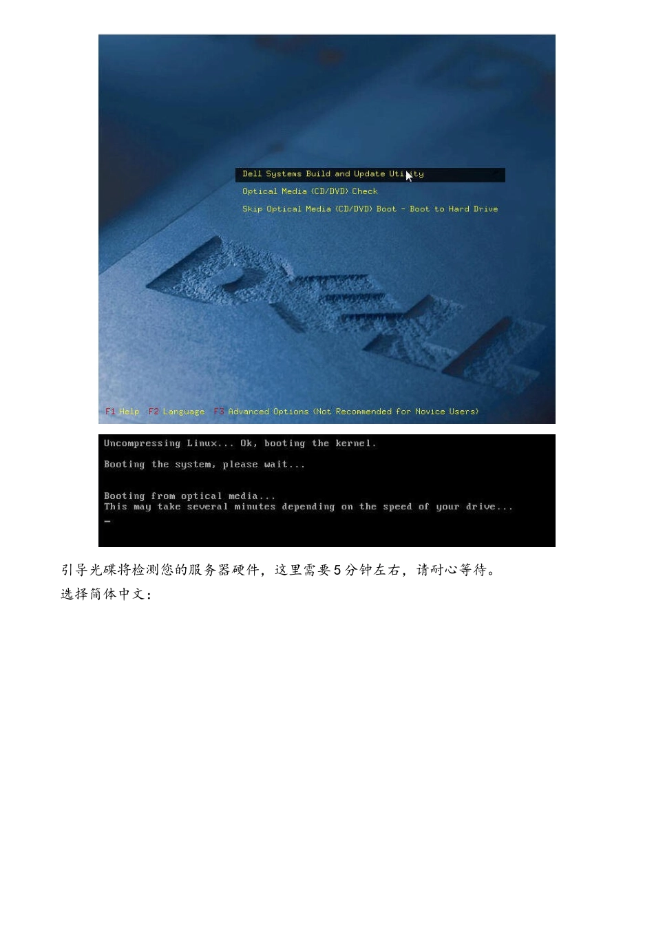 戴尔+DELL服务器的操作系统安装方法_第2页