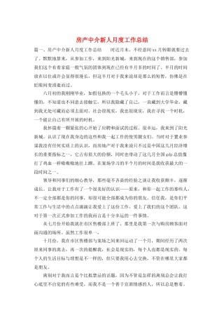 房产中介新人月度工作总结