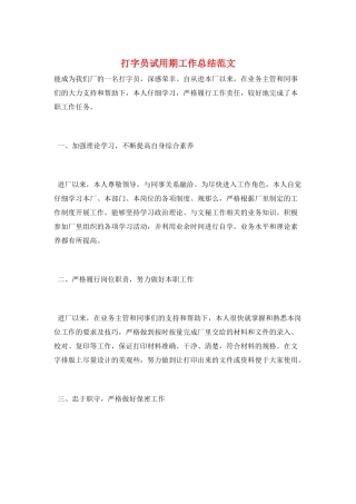 打字员试用期工作总结范文