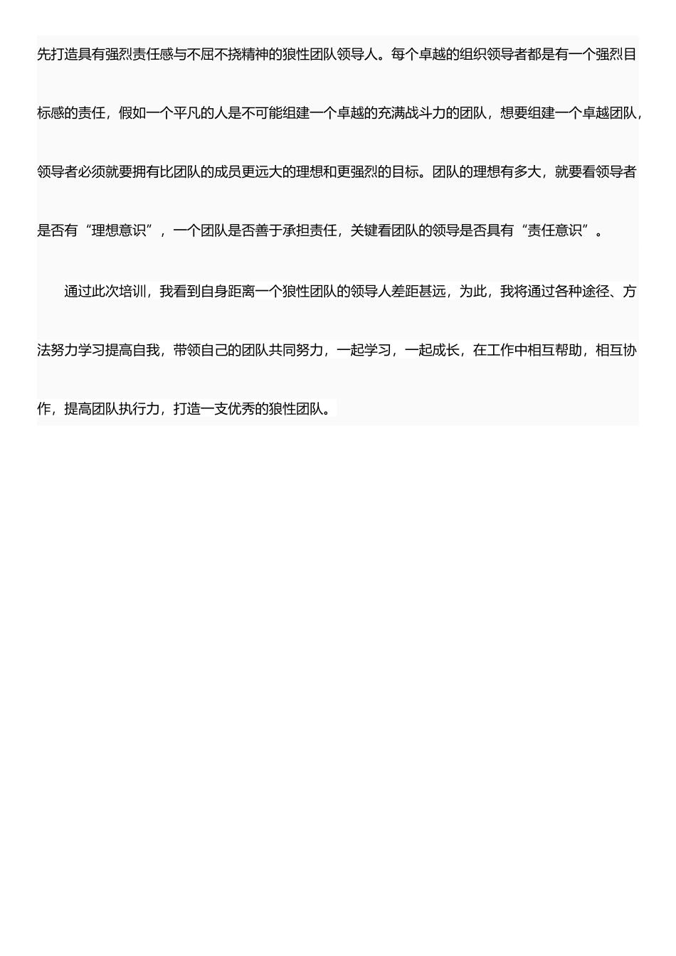 打造企业执行力和狼性团队培训心得_第3页
