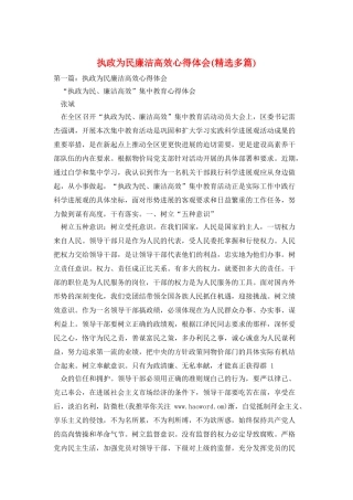 执政为民廉洁高效心得体会