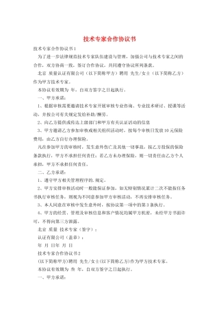 技术专家合作协议书