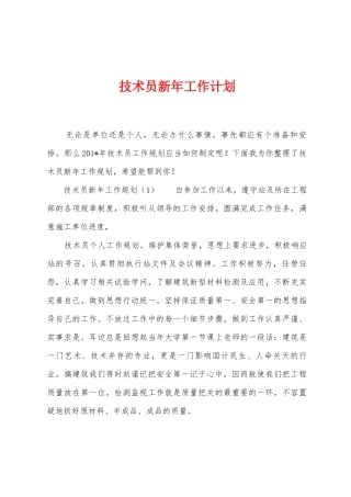 技术员新年工作计划